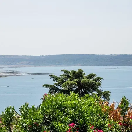 Seaview Apartment